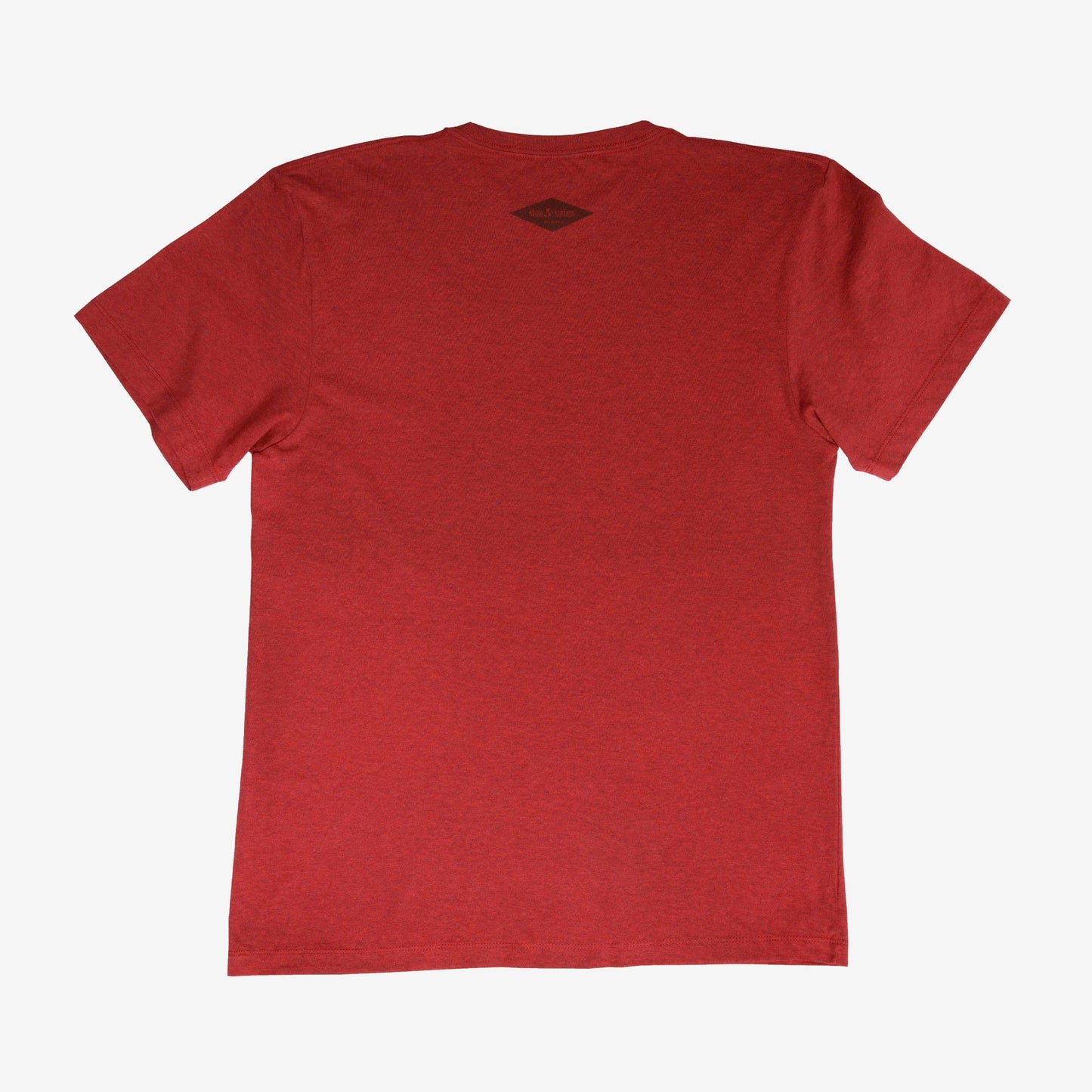 backyard-t-shirt-p5 Shirt_Mtn_Back.jpg