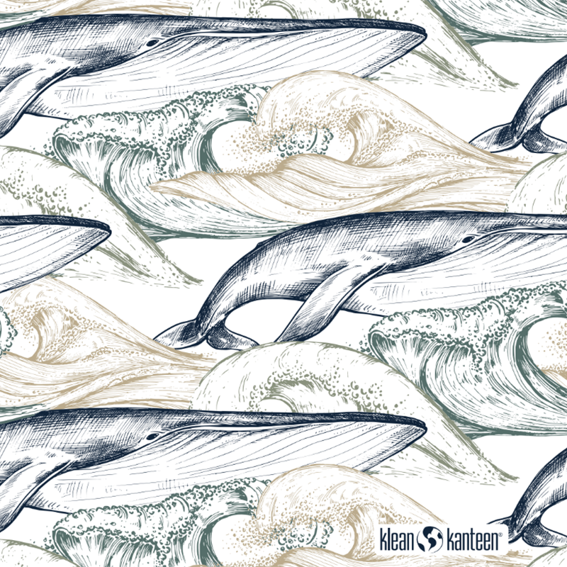20oz-tkwide-with-twist-cap-ocean-day-a4 20oz_tkwide_bottle_seasonal_ocean_day_whale_artwork_square.png